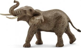 Schleich Afrika Fili Erkek 14762