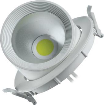 ACK 30W GÜNIŞIĞI COB LED SALYANGOZ ARMATÜR (BEYAZ KASA)