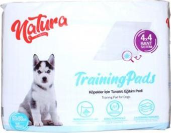 Köpek Pedi (TUVALET EĞİTİM PEDİ) 60x90 Cm 30lu Yapışkanlı Çiş Pedi