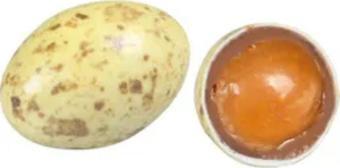 Mevlana Bazaar Bıldırcın Çikolata Draje Sarı 500 Gr