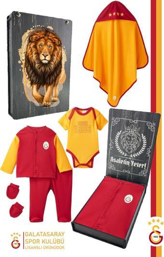 Galatasaray Orijinal Hastane Çıkış Seti 6'lı Set Aslan Baskılı Hediyelik Ahşap Kutulu