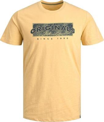 Jack&Jones Erkek Jorbloomer Baskılı T-Shirt 12205787