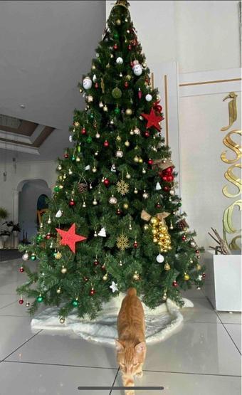 My Party Store Yılbaşı Ağacı 300 Cm 1750 Dal