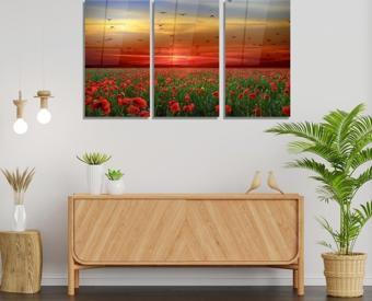 Veraart Doğa 3 lü Set Pleksi Cam Tablo Gelincik Bahçesi