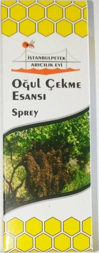 Oğul Arı Yakalama ,çekme Esansı Fısfıslı Sprey 3 Adet Arıcılık Malzemeleri