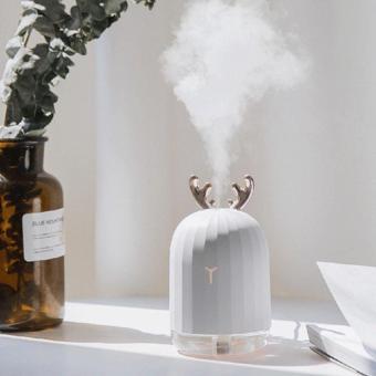 Blue İnter Lovely Humidifier Led Işıklı Hava Nemlendirici Buhar Makinesi