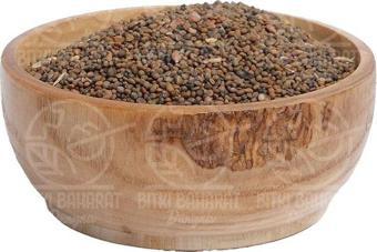 Roka Tohumu 100 Gr