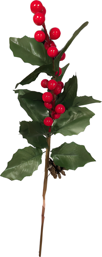 YILBAŞI  DAL KOKİNA KOZALAKLI 51 CM