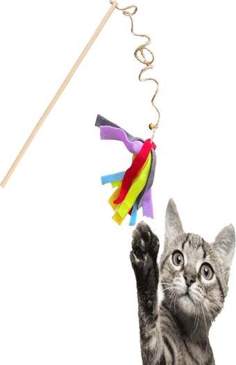 Everypet Ekonomik Jüt Ipli Kedi Oyun Oltası