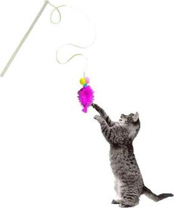 Everypet Ekonomik Kısa Saplı Kedi Oyun Oltası