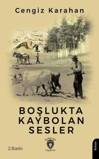Boşlukta Kaybolan Sesler - Dorlion Yayınevi