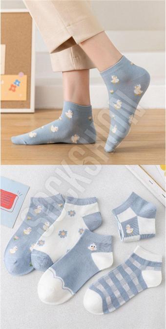 Sockshion Mavi Papatya Desenli Kadın Patik Çorap 5 Çift Çorap Seti