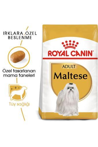 Royal Canin Maltese Kuru Yetişkin Köpek Maması, 1.5 Kg