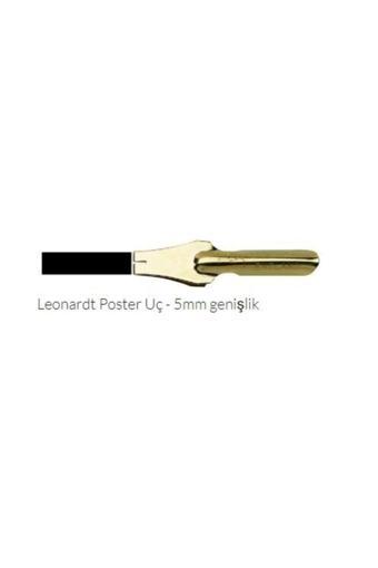 Manuscript Leonardt Poster 5Mm
