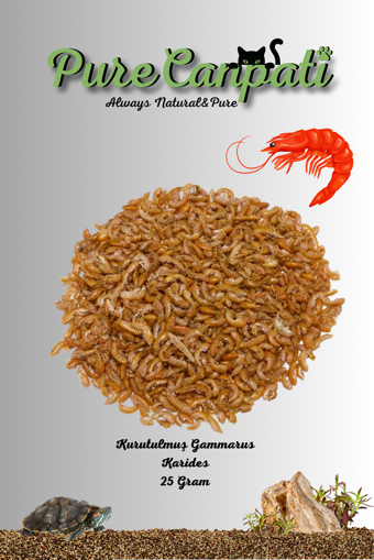PureCanpati Kurutulmuş Gammarus Kaplumbağa Yemi 25 Gr