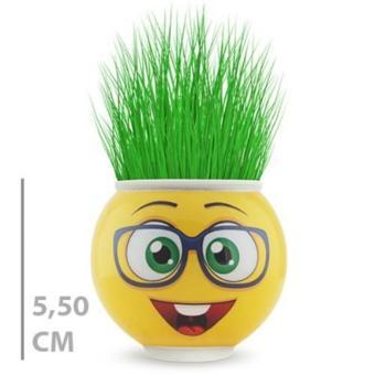 Büro Ev Ofis Dekoru için Emoji Figürlü Çim Adam Saksı
