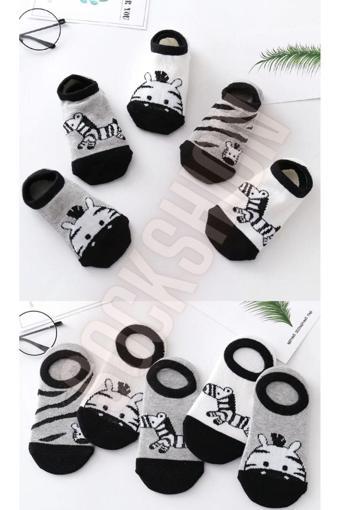 Sockshion Çocuk Zebra Desenli Renkli Patik Çorap Seti 5'Li Paket