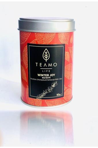 Teamolife Winter Joy Kış Keyfi Çayı