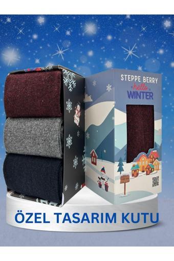 Steppe Berry 3'Lü Erkek Kutulu Yün Çorap