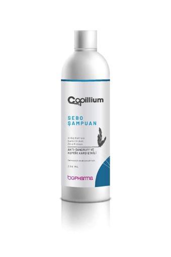 Capillium Sebo Şampuan 330 ml.