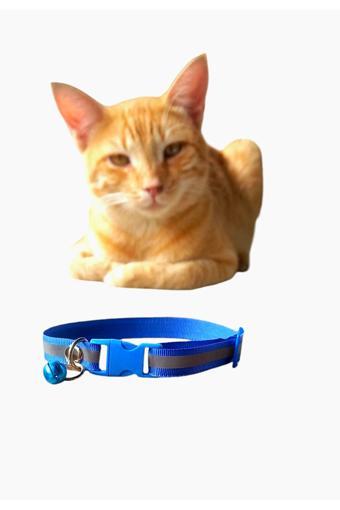 Mıt Kedi Tasması Fosforlu Şeritli
