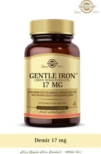 Solgar Gentle Iron 17 Mg 90 Kapsül