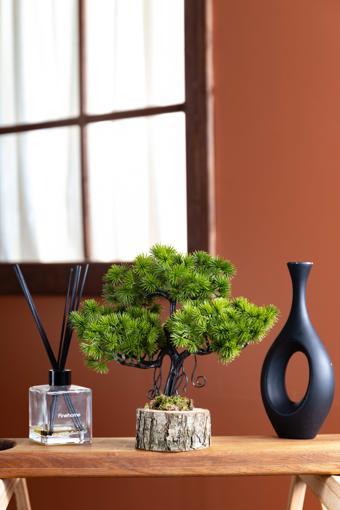 Juniperus Kütük Saksıda Mini Ardıç Ağacı