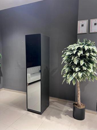 Canbaz Furniture Esla Modüllü 1 Cam Kapaklı Giyinme Dolabı