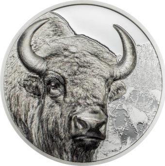 Moğolistan Bizonu Gümüş Sikke Coin