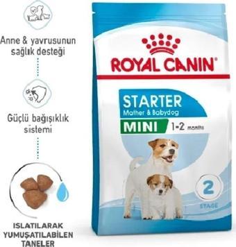 Royal Canin Mini Starter Mother&Babydog Küçük Irk Yavru Köpek Maması 4Kg Puppy Dog Food