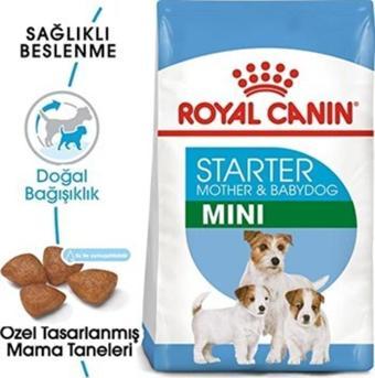 Royal Canin Mini Starter Mother _ Babydog Küçük Irk Yavru Köpek Maması 4 Kg