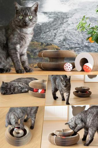 Kedi Tırmalama Oyuncağı, Sihirli Kedi Oyuncağı, Çıngıraklı Tırmalama Panosu, Kedi Oyuncağı
