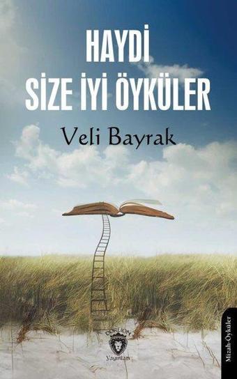 Haydi Size İyi Öyküler - Veli Bayrak - Dorlion Yayınevi