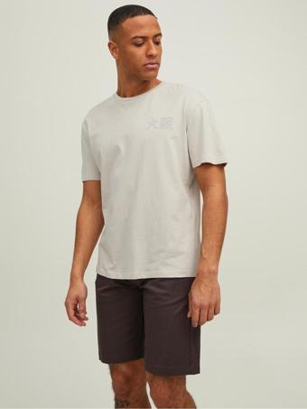 Jack & Jones Japan Tee Ss Crew Neck Erkek Bej Tshirt 12210323-06