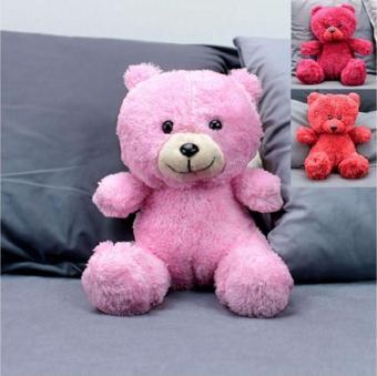 25 Cm Peluş Ayı / Ayıcık Beyaz & Kırmızı & Açık Kahverengi & Koyu Pembe