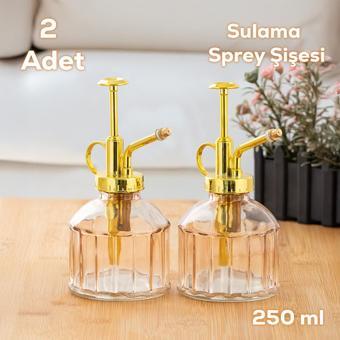 2'li Pembe Vintage Cam Bitki Sulama Şişesi Oda Kokusu Dağıtıcı Cam Dağıtıcı Sprey Yağlık 250ml