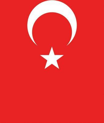 Vatan Türk Bayrağı %100 Polyester 30x45