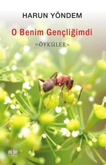 O Benim Gençliğimdi - Öyküler - Akıl Fikir Yayınları
