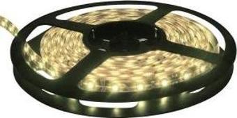 Şerit Led. Damla Silikon kaplı. IP66, toz ve su geçirmez Soğuk Beyaz