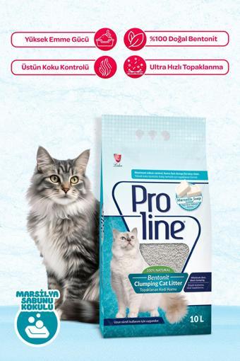 Proline Marsilya Sabun Kokulu Bentonit Kum 10 Lt