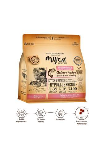 My Cat Mycat Az Tahıllı Somon Balıklı Yavru Ve Anne Kedi Maması 2Kg