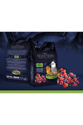 My Yem Selection Gerçek Meyve Parçalı Paraket Yemi 1Kg (3 Adet)