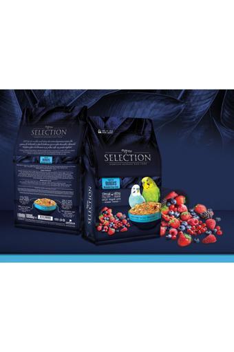 My Yem Selection Gerçek Meyve Parçalı Muhabbet Yemi 1Kg (3 Adet)