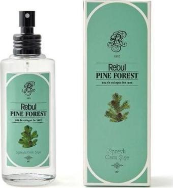 Rebul Pıne Forest 100 ml Spreyli Kolonya