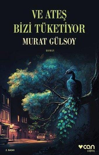 Ve Ateş Bizi Tüketiyor - Murat Gülsoy - Can Yayınları