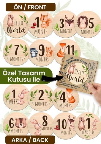  Aylık Bebek Kartları Ingilizce Milestone Cards Bebek Hediyelik Anı Kartı Ay Kartları