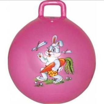 Star J-16 Kız Çocuk Pembe Plates Zıp Zıp Topu 45 Cm Çocuk Boyu