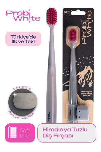 ProbiWhite Himalaya Tuzu Kaplı Diş Fırçası Gri 