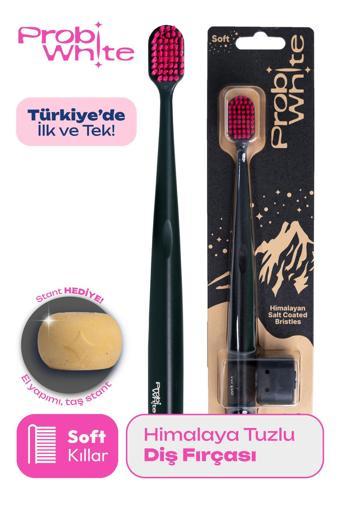 ProbiWhite Himalaya Tuzu Kaplı Diş Fırçası