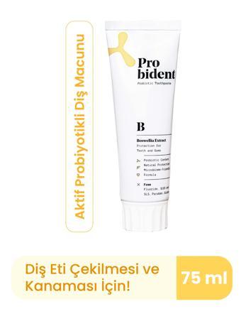 Aktif Probiyotik Doğal Florürsüz Diş Macunu Akgünlük Özüt Ilaveli Diş Ve Diş Etleri Için Koruma